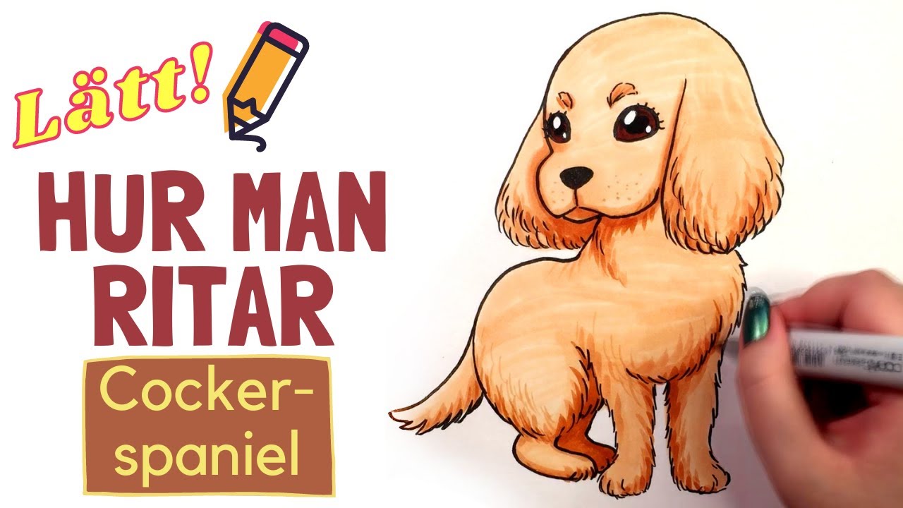 Hur man ritar en cocker spaniel HUND – Lätt lär dig teckna-video med ...