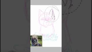 Speed paint- Cat Bust Commission #1