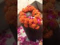 #महादेव सर पर तेरा हाथ है 🙏🌿🚩शॉट्स