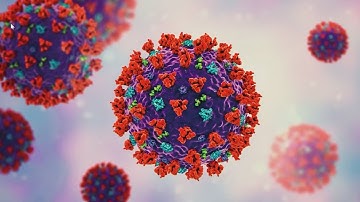 Doctors explain difference between omicron, delta variants