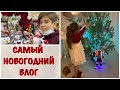 САМЫЙ НОВОГОДНИЙ ВЛОГ/ПОКУПАЕМ СОСНУ /ЧЕГО ТАК ДОРОГО?/ФЁДОР