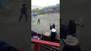 Feria ferreria 2019