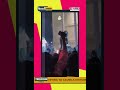 TrendsShow Do You Think The Fan Got What He Deserved From Shatta Wale Shattawale TrendsShow Do You Think The Fan Got What He Deserved From Shatta Wale Shattawale