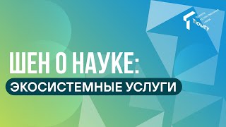 Что такое экосистемные услуги?