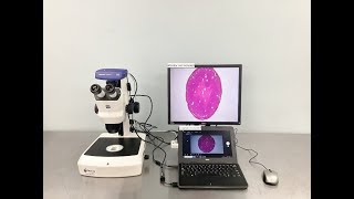 Zeiss Stereo Zoom Microscope Stemi 508  ID 27475