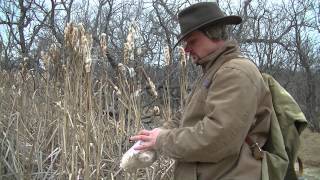 Cattail Gloves @survivewithout
