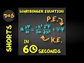 Can I Explain the Schrödinger Equation in 60 Seconds? (reupload for #shorts)