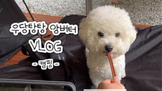 버터와 함께 첫 솔캠 도전! / 강원도 홍천 ’캠핑중dog‘ / 닭강정 / 왕만두 / 쭈꾸칼국수 / 소고기로 캠핑 마무리🥩