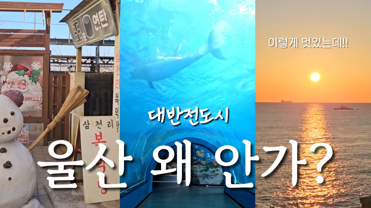 Кто сказал, что Ульсан скучный? 🌊 | Неожиданный поворот: путешествие по Ульсану, вкусные ресторан...