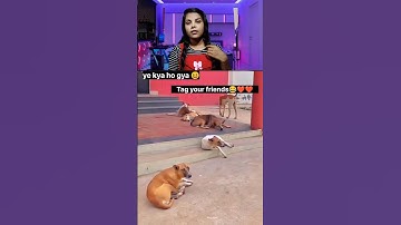 Try Not To Laugh Challenge 😂 | Wait For End |#funny #funnymemes #viral #shorts #comedy#trynottolaugh