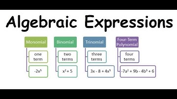 Algebraic Expressions | What is a Term Factor Coefficient Monomial Binomial Trinomial Polynomial