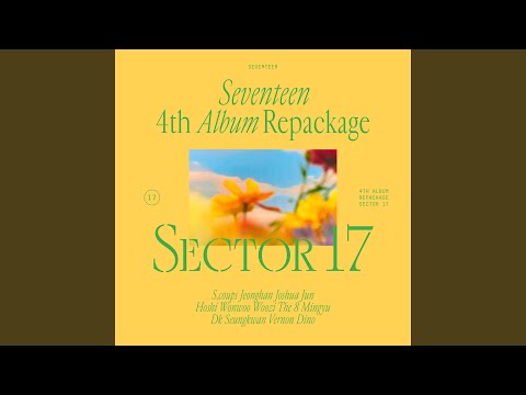SEVENTEEN - IF you leave me