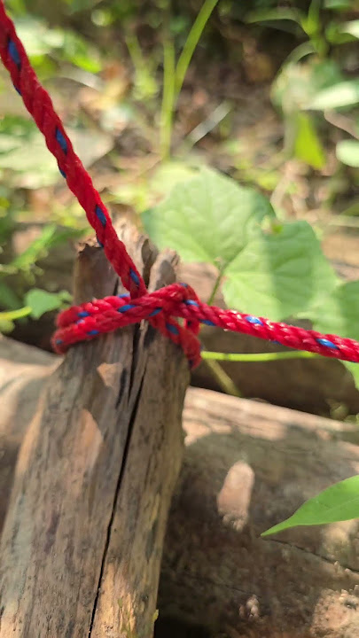 Smart Rope Trick for Tough Jobs #rope #knots #tips