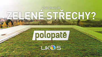 Co jsou výhody zelených střech?