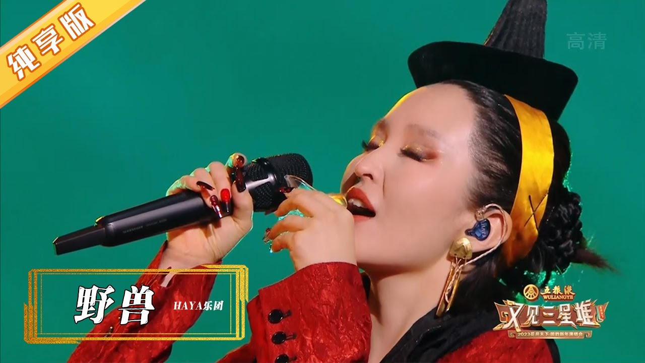 HAYA乐团《野兽》，余音袅袅，不绝如缕【2023四川卫视花开天下跨年演唱会】