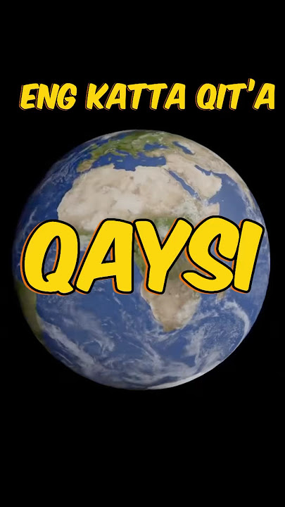 Eng katta eshaklarning fotosuratlarini koring