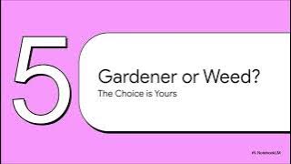 Hobo Strategic Ai SEO Book 2025 - A Deep Dive