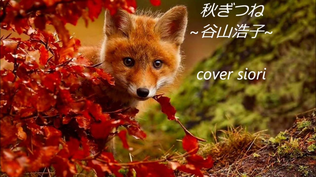 秋ぎつね 谷山浩子 Cover Youtube