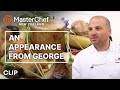 George Calombaris' Is Here For The Final! | MasterChef New Zealand | MasterChef World