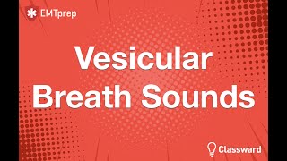 Vesicular Breath Sounds Animation - EMTprep.com