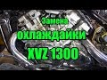 Замена охлаждайющей жидкости Yamaha XVZ 1300. замена охлаждайки Ямаха Рояль 1300