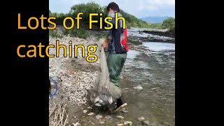 traditional net fishing , Cast net Fishing , Net fishing in river ,