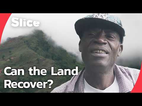 Haiti’s Coffee Mountains: Farming on a Changing Land | SLICE | FULL DOCUMENTARY