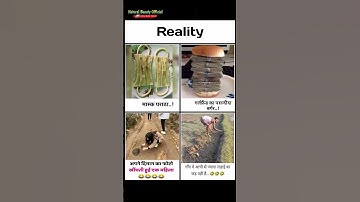 "Reality Motivation Memes 😅 | Funny But Inspiring Video" #motivation #inspiration #quotes #memes