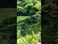 Cast the Burden Affirmation Commentary | Florence Scovel Shinn & Lila @Japan Shrine Fuji