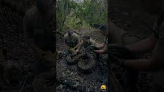 Florida's Python Hunters Use Traitor Snakes to Catch 17-Foot Monsters | Burmese Python Removal.