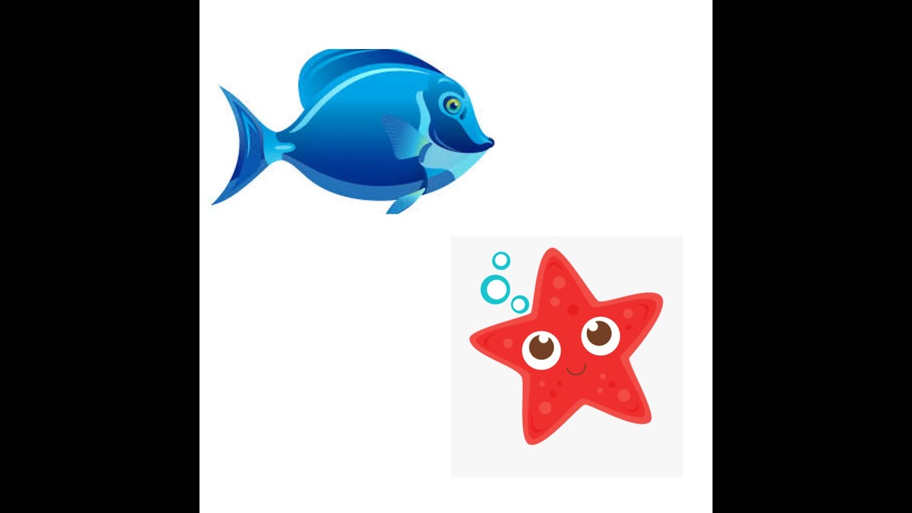 PE with Derek - Finding .... Red Starfish and Bluefish!