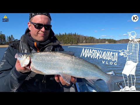 Video: Kuinka Rekisteröidä Kanava