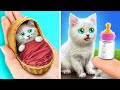 Dont be sad tiny kitten  i built the home for my cat  cool gadgets and hacks for pets