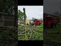 Job #1 today. Leave lay, tree removal
