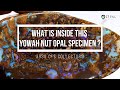 What is inside? Yowah Nut Specimen | Opal Auctions