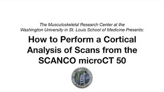 Step 5: Cortical Analysis