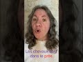 Défi en orthographe #progresser #défi #apprendre #français #orthographe #learnonyoutube