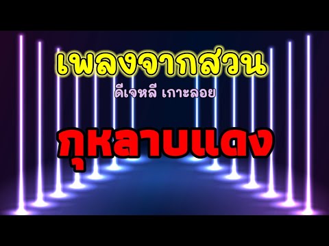 กุหลาบแดง - คาราโอเกะ