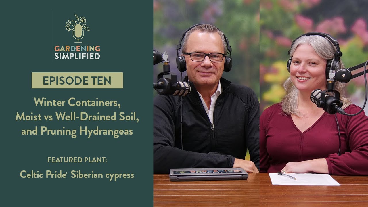 Winter Containers, Moist vs Well-Drained Soil, and More! | Gardening Simplified Radio Show | Ep. 10