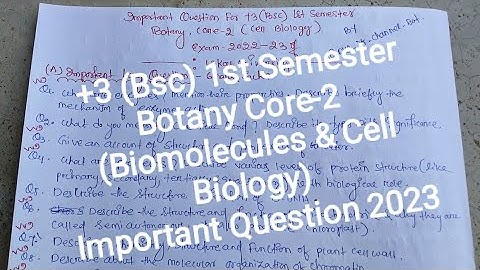 +3 (Bsc) 1st Semester Botany Core-2 Important Questions 2023 | Utkal University |