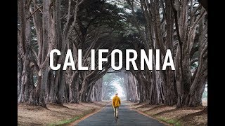 ROADTRIP POR EL NORTE DE CALIFORNIA ⛰️