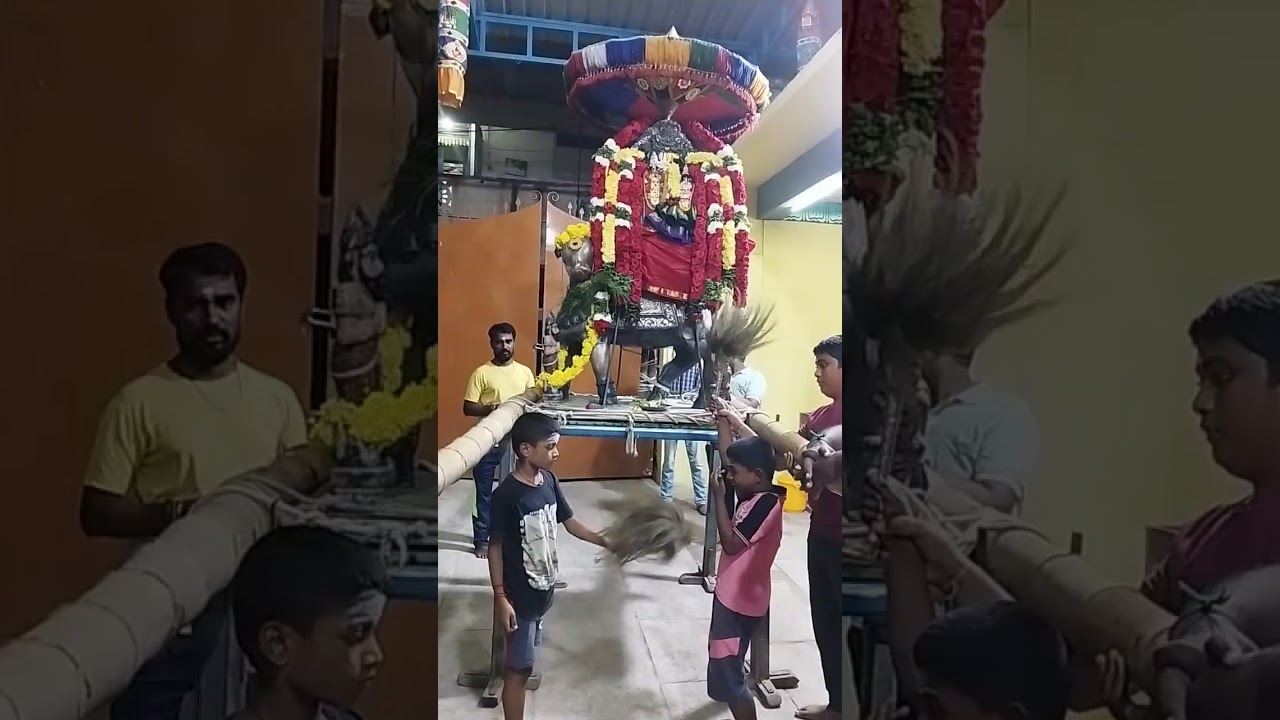 #பிரதோஷம் திருமயிலை காரணீஸ்வரர் கோயில் மயிலாப்பூர் சென்னை fully video 1.3.2026