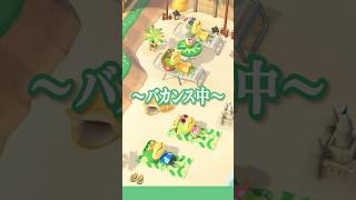 かっぺい一家の休日バカンス