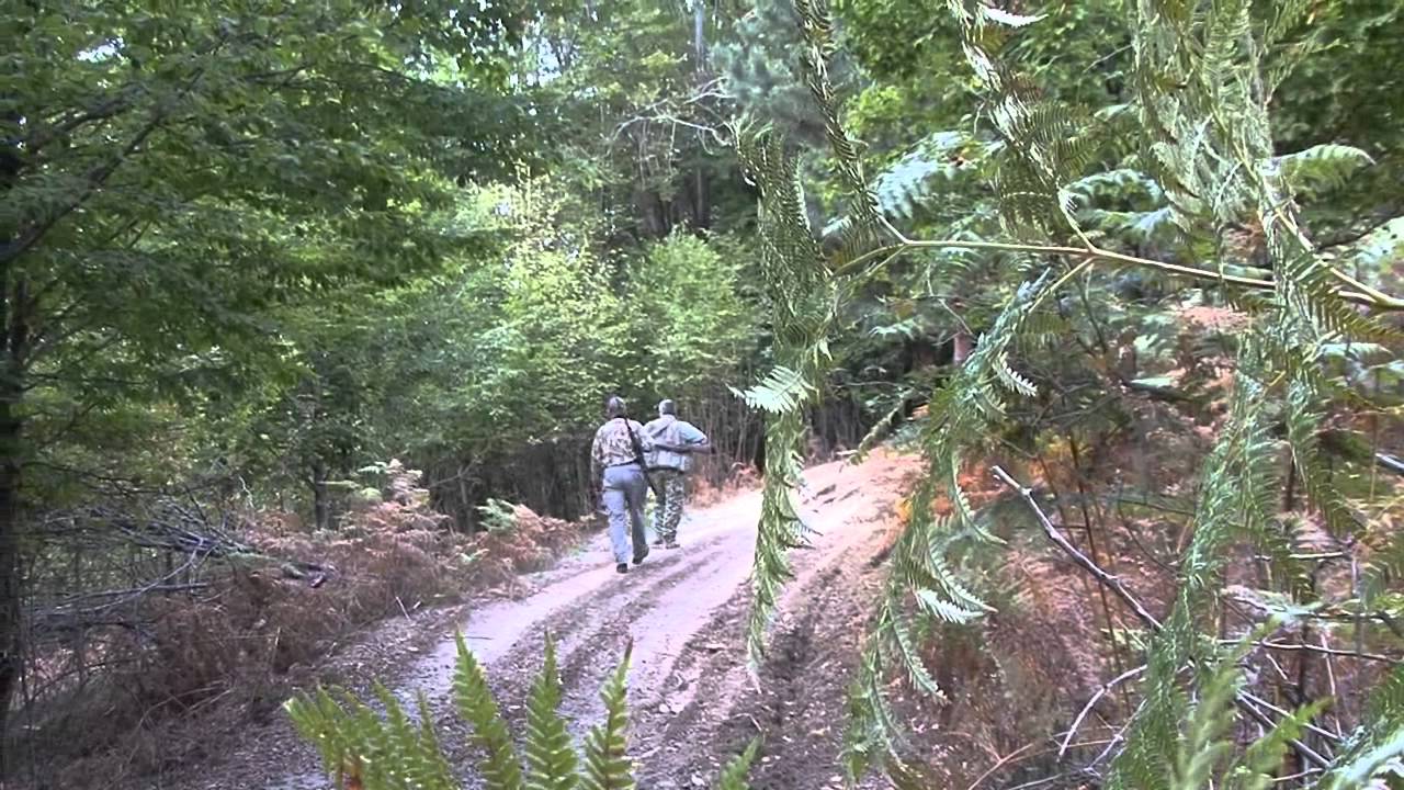 Big Game Hunt Europe YouTube big-game-hunt-europe-youtube