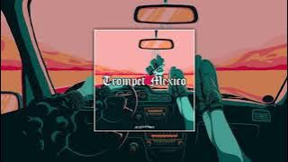 DJ VIRAL TIKTOK‼️ TROMPET MEXICO - EVER SALIKARA (DISKOTANAH) 2023‼️