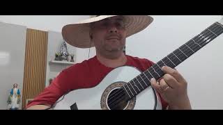 A MAJESTADE O SABIÁ - COVER - SOLO DE VIOLA CAIPIRA E VOZ