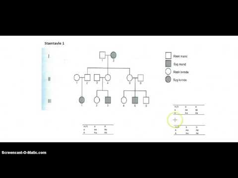 Video: Sådan Får Du En Stamtavle