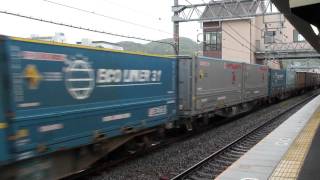2009-11-11 [東海道本線] EF66 118 + コキ100系, 高速貨1054
