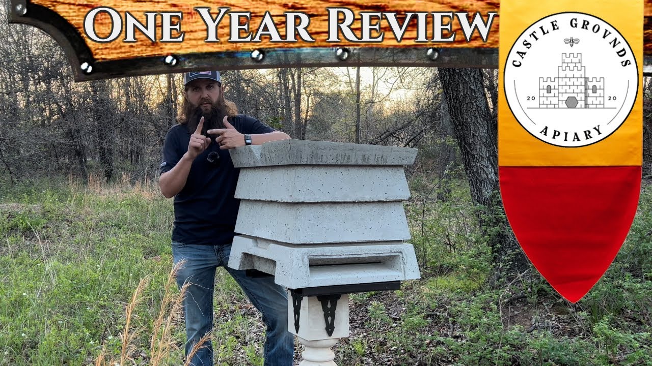 The OFFICIAL 1 Year Review of the Concrete Beehive - Beegin Bee Bunka