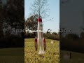 Viral "Space Jellyfish" in Florida Sky! The TRUTH!